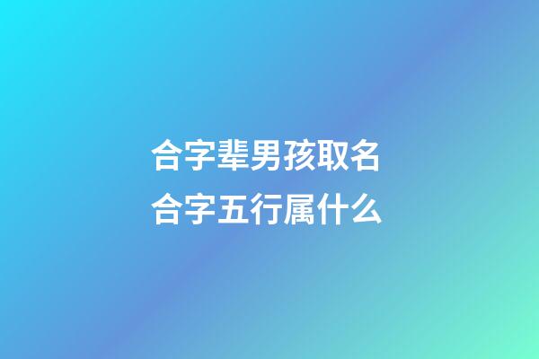 合字辈男孩取名 合字五行属什么